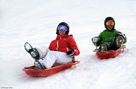 luge