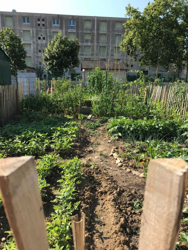 20180913 jardinschopin