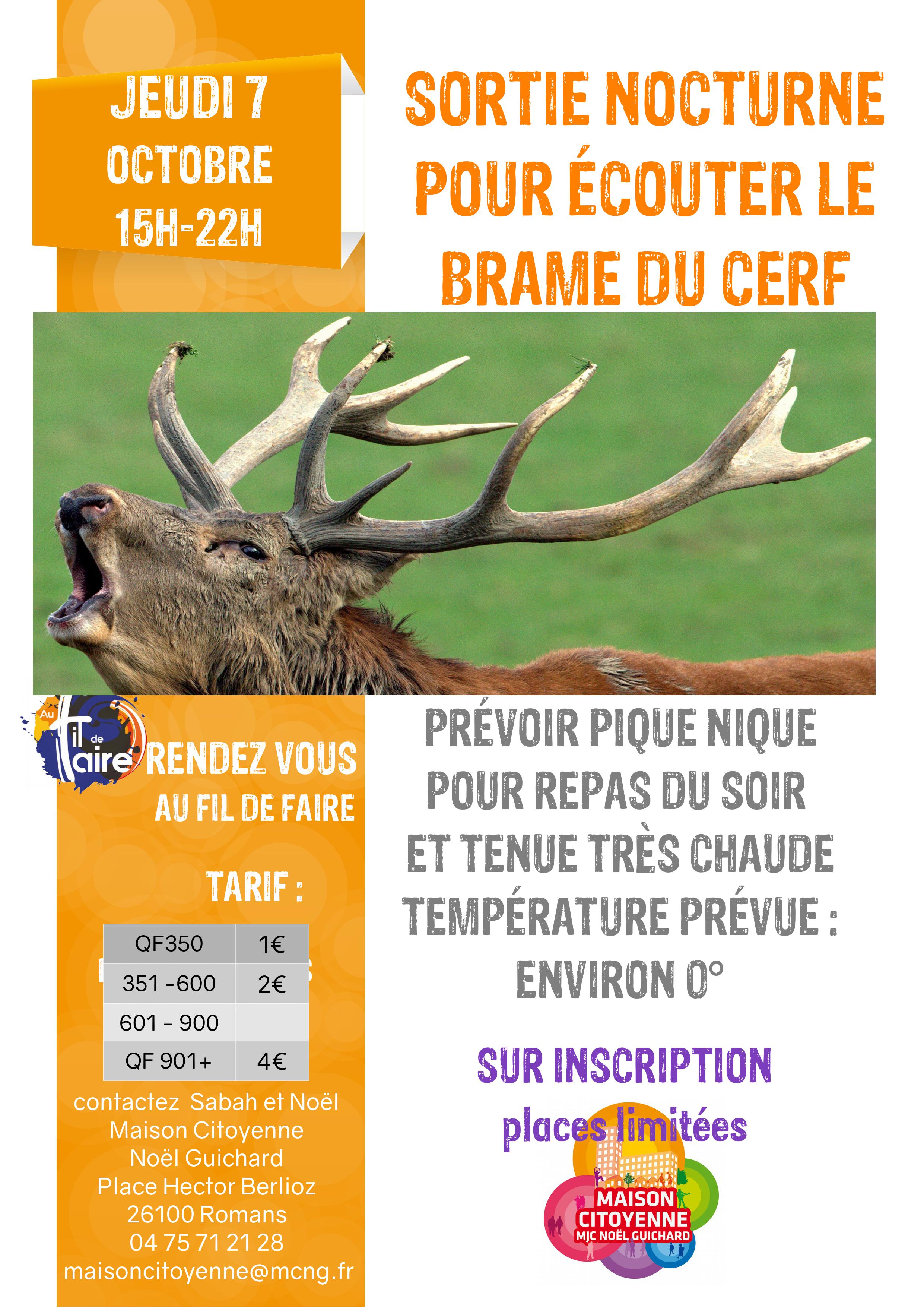 sortie brame du cerf